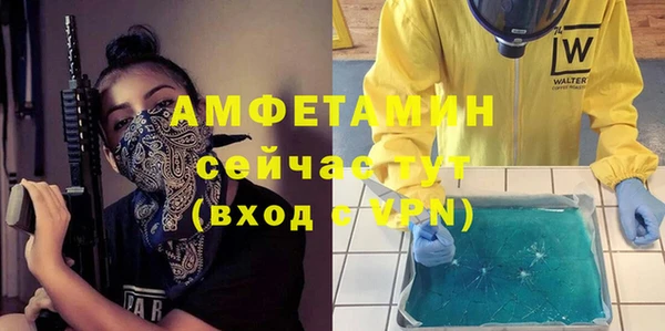 индика Горняк