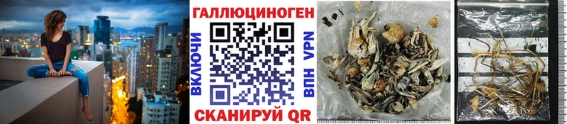 даркнет сайт  даркнет формула  Псилоцибиновые грибы Magic Shrooms  Лаишево  MEGA ссылка 